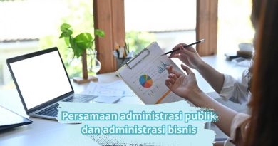 persamaan administrasi publik dan administrasi bisnis